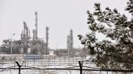 دیدگاه: بی‌ای‌اس‌اف تردید مضاعف و بی‌ثباتی شدیدی را برای بازار پیش‌بینی می‌کند