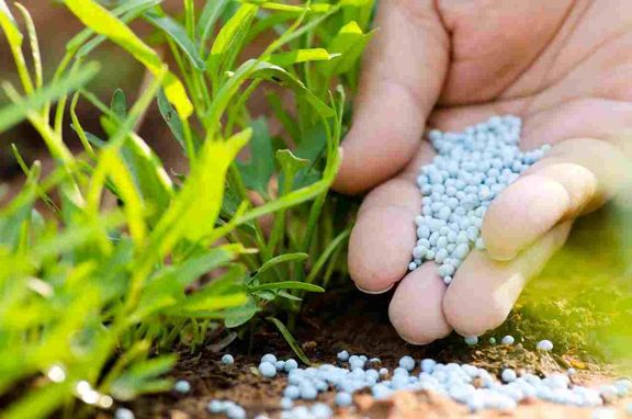 محروم ماندن پتروشیمی های ایرانی اوره ساز از افزایش قیمت های جهانی
